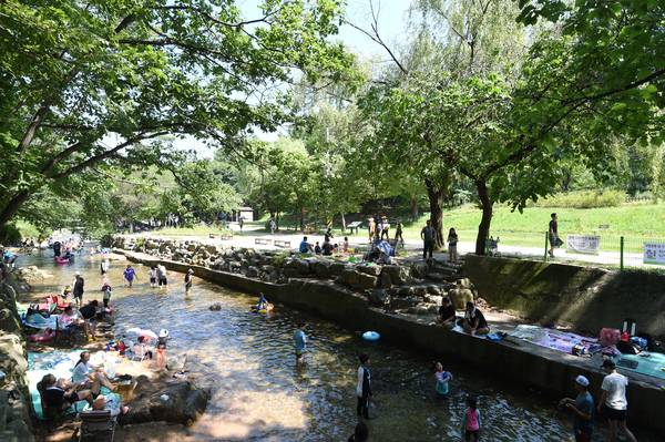 양주 장흥유원지의 대표 명소인 송추계곡. /양주시 제공