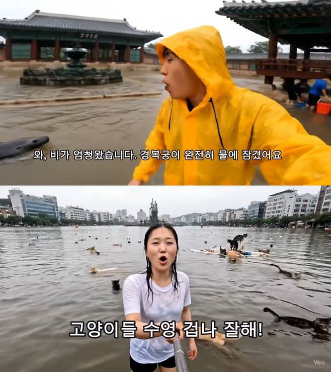 출처=유튜브 '골파닭'