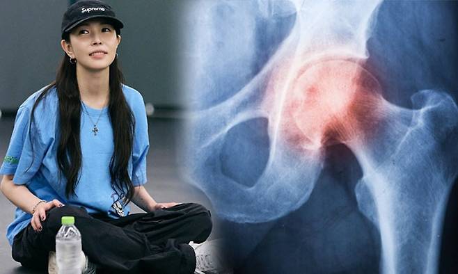 대한류마티스학회