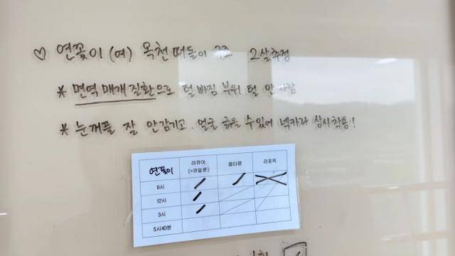 연꽃이 견사 입구에 쓰여 있는 돌봄 수칙. 얼굴에 상처가 더 발생하지 않는 데 초점이 맞춰져 있다. 동물자유연대 제공