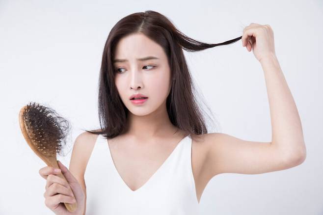 클립아트코리아