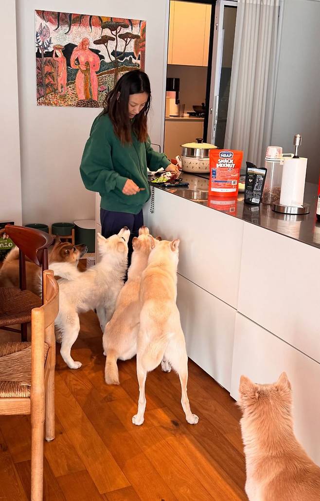 이효리 인스타그램.