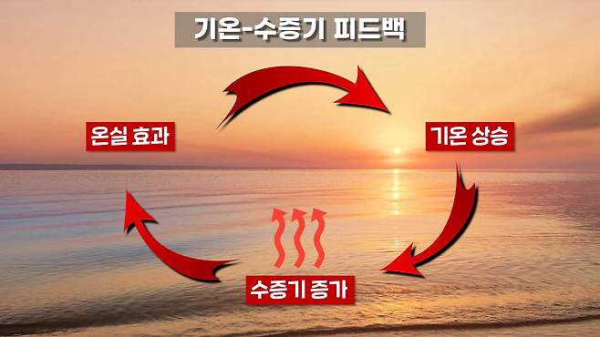 <그림 5> 기온-수증기 피드백