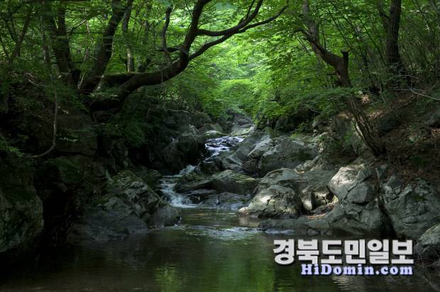 소백산 자락을 흐르는 죽계천의 비경, 죽계구곡. 초암사에서 삼괴정에 이르는 약 2km 구간의 맑은 계류와 기암괴석, 울창한 숲이 어우러져 선비들이 사랑한 고요한 풍광을 자랑한다.
