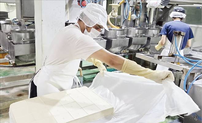 경기도 고양시의 한 콩가공식품 제조업체에서 직원이 두부를 생산하고 있다. 이정선 선임기자