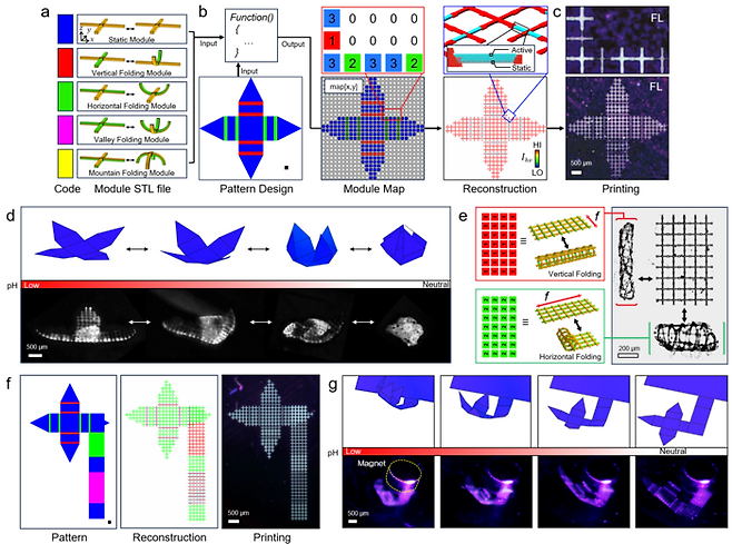 AI 활용 마이크로 4D 프린팅 기술 개발 개요도.