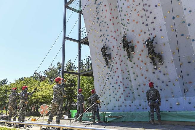 병대캠프 참가자들이 산악전기초훈련(암벽등반)을 받고 있다.