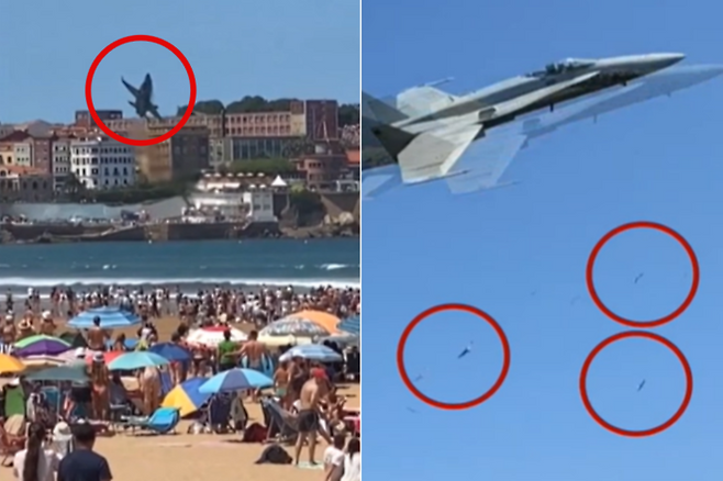 28일(현지시간) 스페인 히혼 항공 페스티벌에 참여한 스페인 공군이 새 떼를 피하기 위해 회피 기동을 펼쳤다. 사진=엑스 캡처