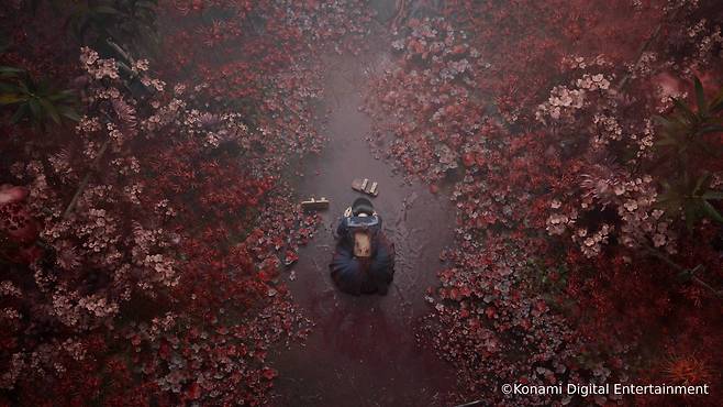 꽃에 잠식당한 모습