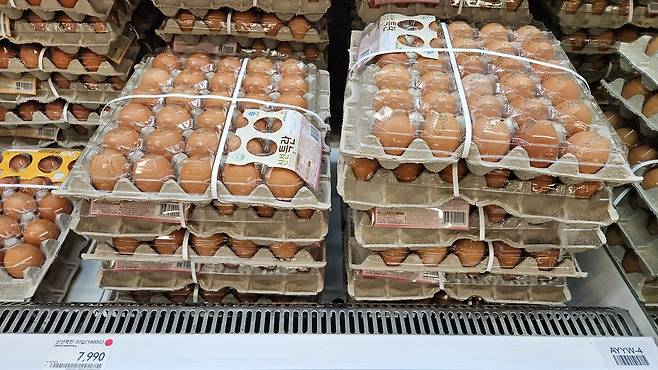 3일 포항시 북구 한 마트에 계란 한 판이 7990원에 판매되고 있다. /정혜진기자