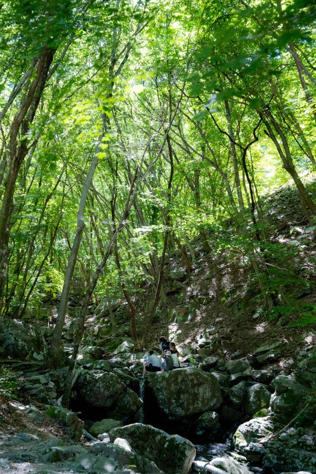 지난달 28일 시민들이 밀양 얼음골 계곡에서 피서를 즐기고 있다.