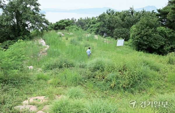 5일 인천 강화군 내가면 석간돈대가 오랫동안 방치된 채 잡초만 무성해 성벽의 형체조차 찾아보기 어렵다. 강화도 내 54곳의 돈대 중 38곳이 폐허로 방치돼 있다. 조병석기자