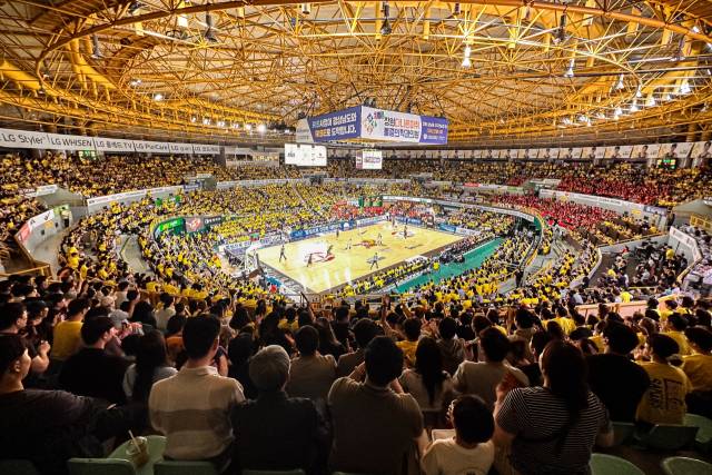 LG 세이커스 팬들이 창원실내체육관에서 열린 농구 경기를 관람하고 있다. LG 세이커스 제공