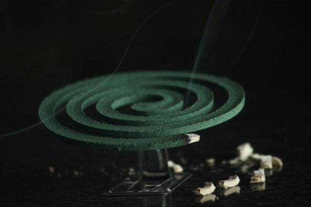 모기향/사진=unsplash