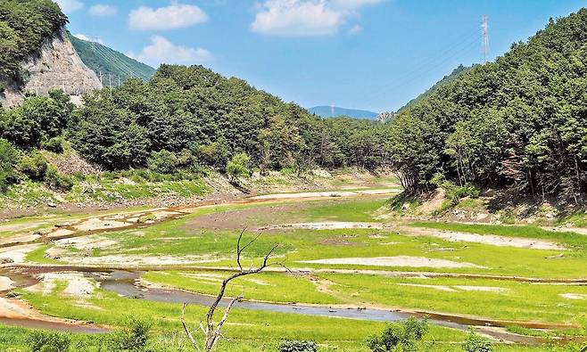 물은 없고 잡초 무성한 '강릉의 식수원' - 12일 오후 강원도 강릉시의 상수원인 오봉저수지의 모습. 한 달가량 이어진 가뭄으로 바닥이 드러나 있다. /연합뉴스