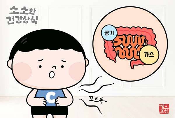 그래픽=헬스조선DB