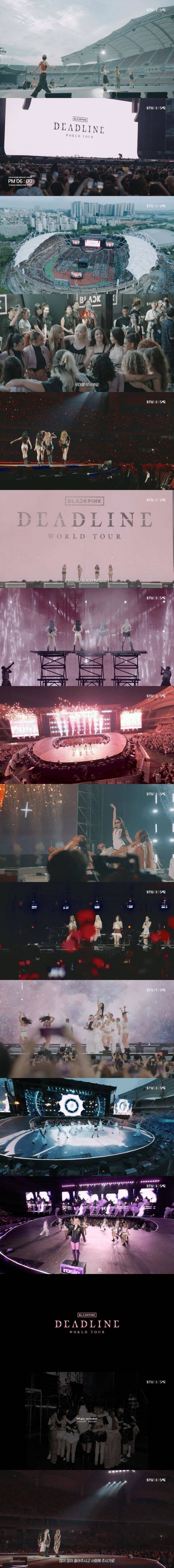 / YG엔터테인먼트