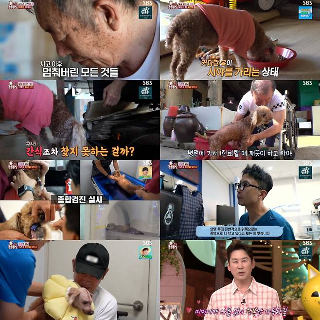 ‘TV동물농장’ (제공: SBS)