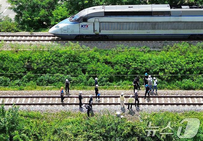 20일 오후 경북경찰청, 국립과학수사연구원, 항공철도사고조사위원회, 노동 당국 등 관계자들이 7명의 사상자가 발생한 경북 청도군 화양읍 삼신리 경부선 무궁화호 열차 사고 현장에서 감식을 벌이고 있다. 2025.8.20/뉴스1 ⓒ News1 공정식 기자