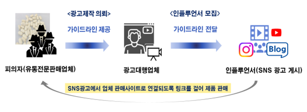 일반 식품을 다이어트에 효과가 있는 것처럼 불법 광고·판매하는 업체들의 법 위반 행위 모식도. 식품의약품안전처