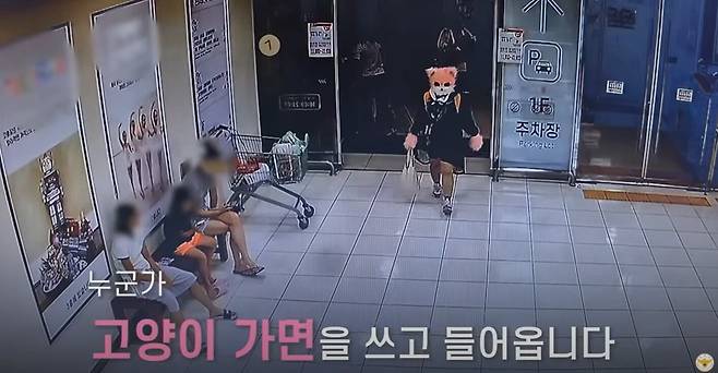 지난 2일 오후 경남 거제시 한 대형마트에서 20대 여성이 고양이 인형탈을 쓰고 흉기 난동을 벌여 현행범 체포됐다. /경찰청 유튜브 캡처