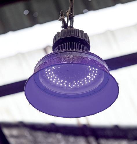 축사에서 사용되는 LED 램프.