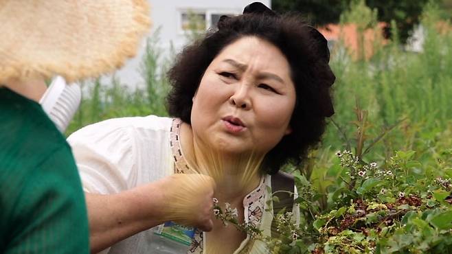 사진 제공=KBS2 '같이삽시다'