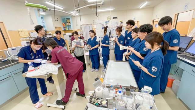 영진전문대 동물보건과 학생들이 동물종합의료센터 치바현에서 현장 실습에 참여한 모습. 영진전문대 제공