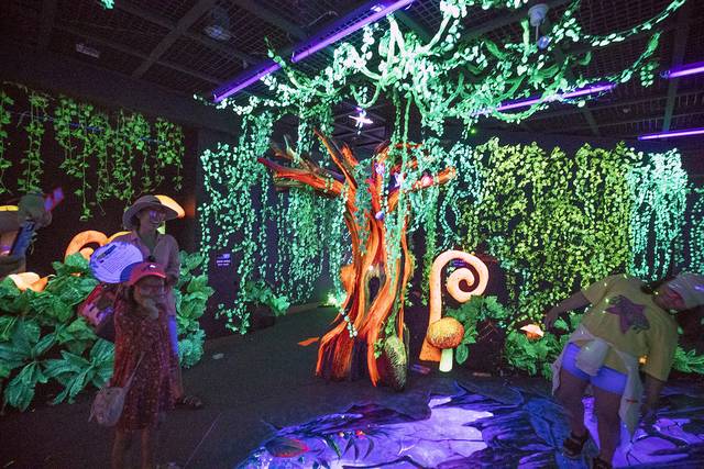 전북 무주 반딧불이축제의 한 장면. 연합뉴스