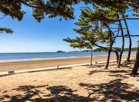 몽산포해수욕장