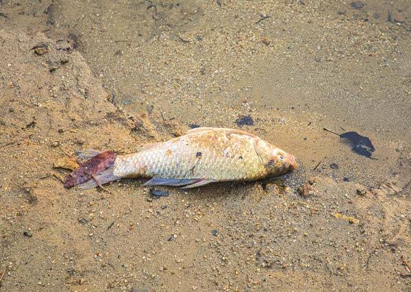 상처난 부위가 바닷물에 닿으면 비브리오패혈증의 위험이 있다. 사진은 기사 내용과 직접적 관련 없음./클립아트코리아