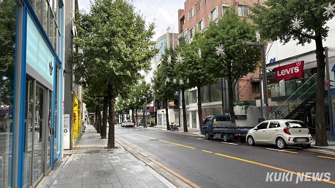 서울 강남구 가로수길의 모습. 이유림 기자