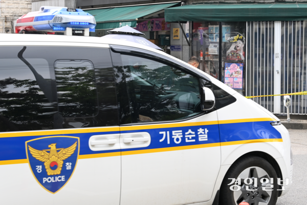 지난해 2월 재출범한 경찰 기동순찰대의 실효성 논란이 커지고 있다. 사진은 기사 내용과 관련 없음. /경인일보DB