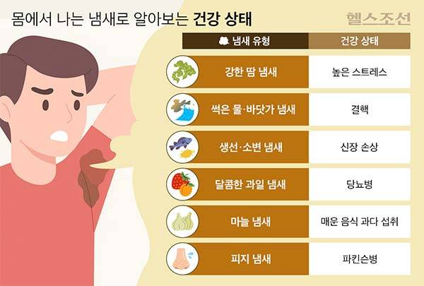 미국의 후각 전문가는 냄새로 건강 상태를 알 수 있다고 말했다./그래픽=김민선