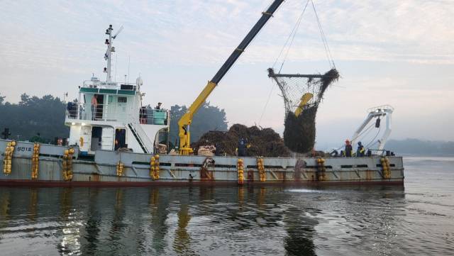 지난 7월 집중호우로 인한 해양쓰레기 수거작업을 하고 있다./경남도/