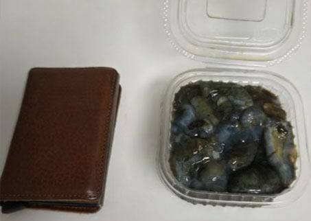 부산 자갈치 시장의 한 유명 횟집이 해삼 한 접시를 7만원에 판매해 논란이 되고 있다. /인스타그램 캡처