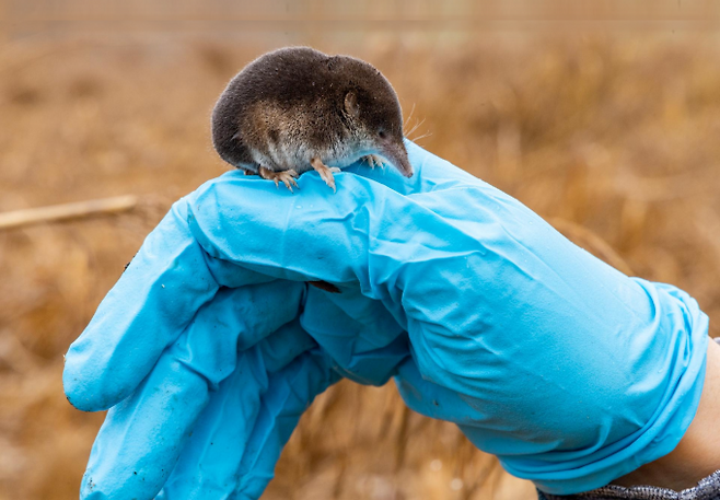 첨서가 연구진의 손 위에 올라가 있다. Christian Ziegler 제공