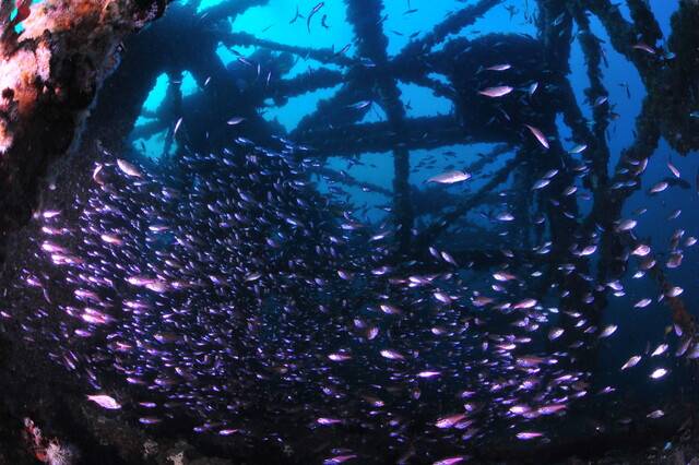 전라남도 바닷속에 설치된 인공어초. 전남도 제공