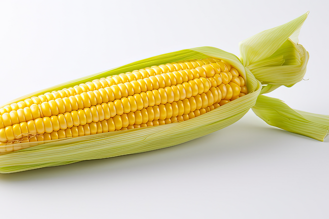 옥수수