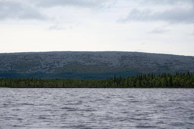 키틸라 아에케누스호변의 펠.
