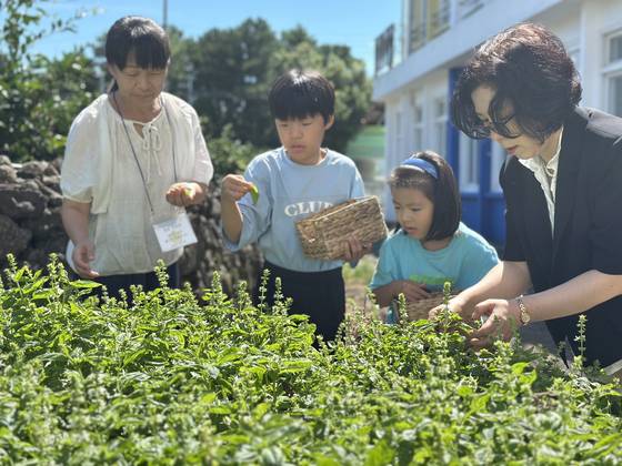 지난달 28일 제주 창천초등학교로 농어촌 유학을 온 김건후군과 김아랑양 남매와 어머니(왼쪽), 학교장(오른쪽)이 학교 텃밭에서 학생들이 키운 바질을 따고 있다. 최충일 기자