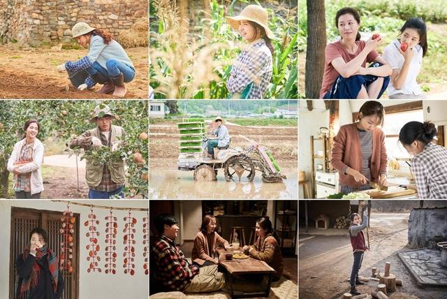 영화 ‘리틀 포레스트’. 메가박스중앙 플러스엠·네이버영화