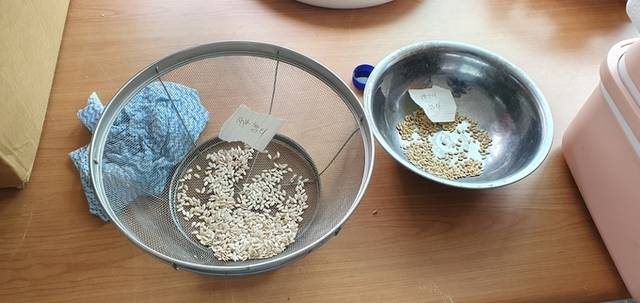 ▲ 4일 포항토종씨앗도서관에서 별도로 모아두고 있는 토종 씨앗들 모습. 황영우 기자