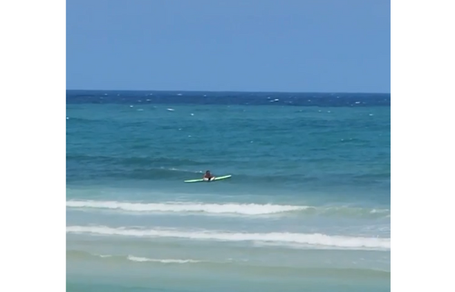 제주소방안전본부 제공