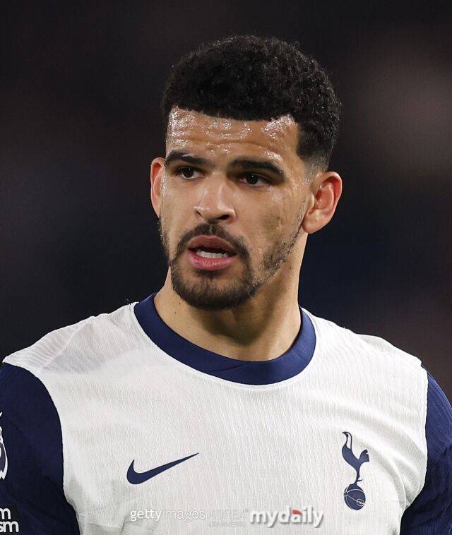 도미니크 솔란케/게티이미지코리아