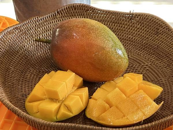 애플망고. /용인시 제공