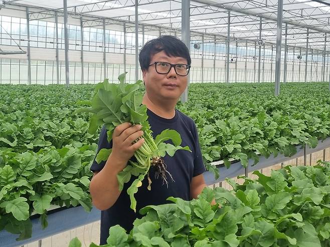 임동만 청춘베리팜 대표가 지난 2일 전라남도 담양군 고서면 연동하우스에서 농작물을 살피고 있다. 정승우 기자