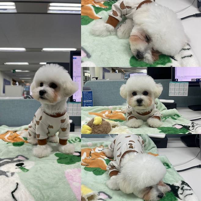 A 씨가 소망이를 처음 만난 날(보호자 제공) ⓒ 뉴스1