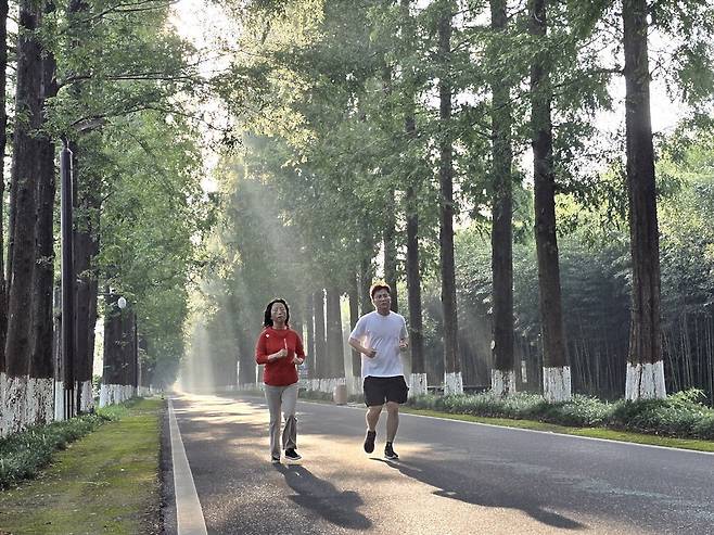 삼림공원 내에서 힐링 즐기는 관광객.