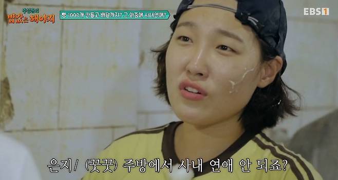 EBS, ENA 공동제작 ‘추성훈의 밥값은 해야지’